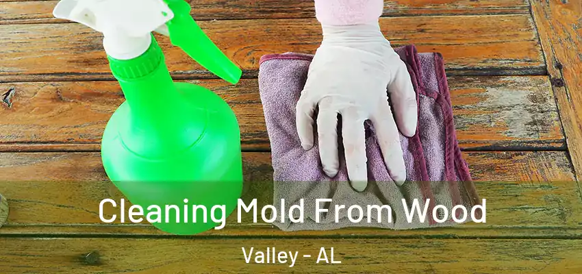 Cleaning Mold From Wood Valley - AL