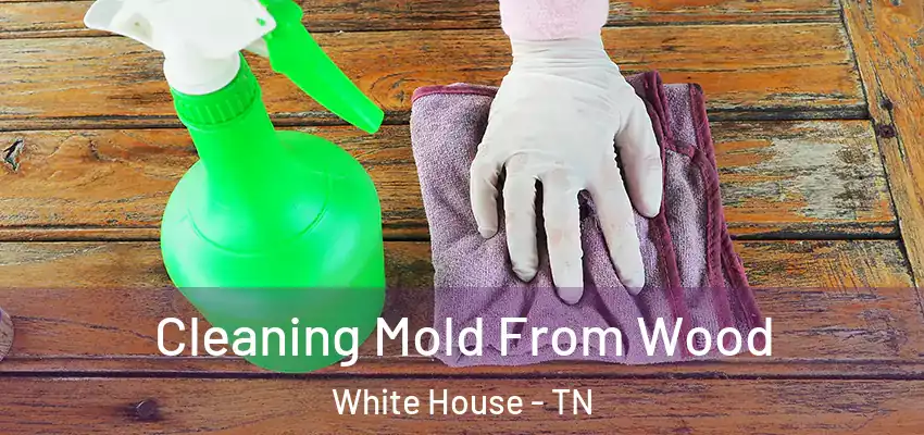  Cleaning Mold From Wood White House - TN