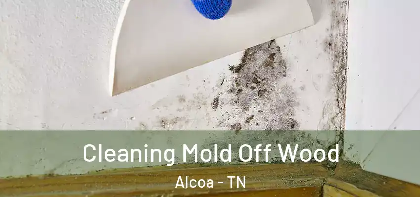 Cleaning Mold Off Wood Alcoa - TN