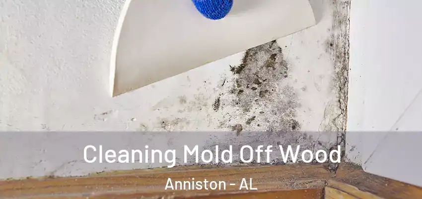 Cleaning Mold Off Wood Anniston - AL