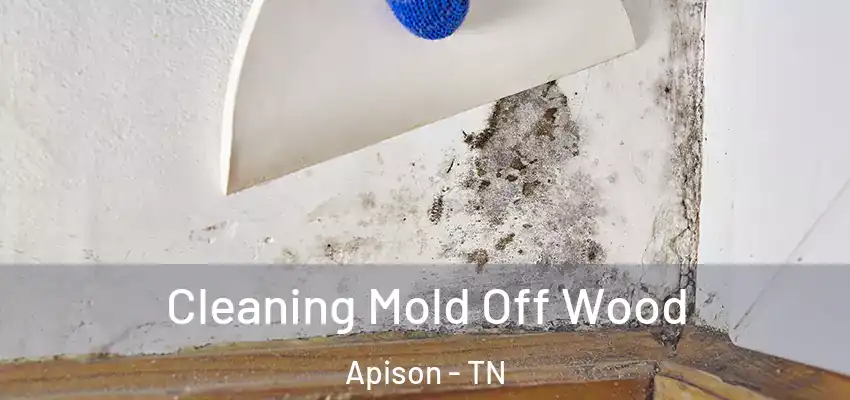  Cleaning Mold Off Wood Apison - TN
