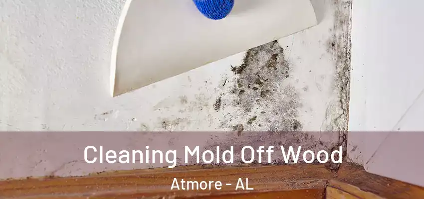 Cleaning Mold Off Wood Atmore - AL