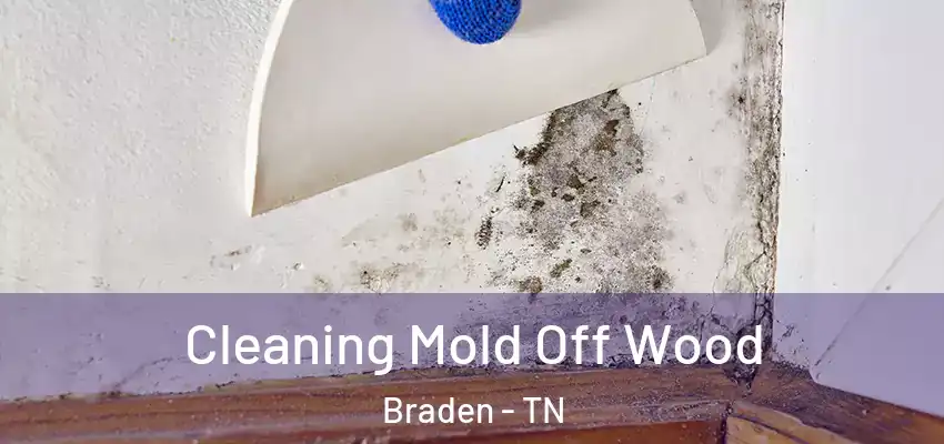 Cleaning Mold Off Wood Braden - TN