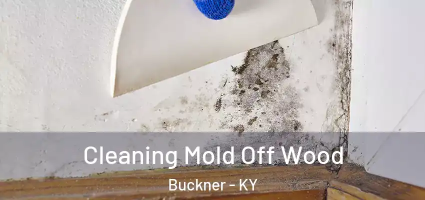  Cleaning Mold Off Wood Buckner - KY