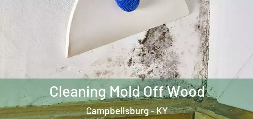 Cleaning Mold Off Wood Campbellsburg - KY