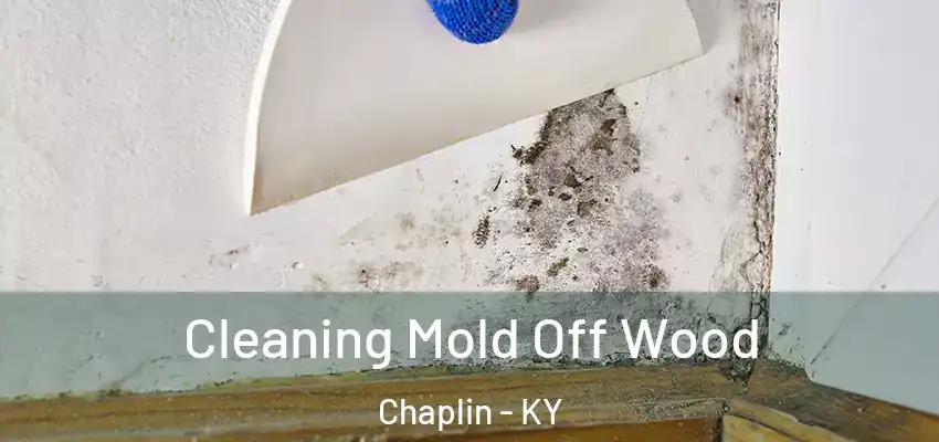  Cleaning Mold Off Wood Chaplin - KY