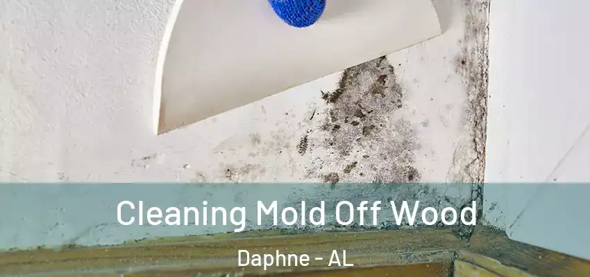 Cleaning Mold Off Wood Daphne - AL