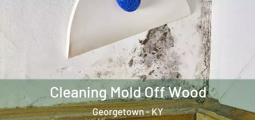 Cleaning Mold Off Wood Georgetown - KY