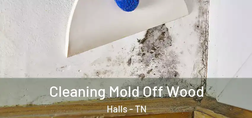  Cleaning Mold Off Wood Halls - TN
