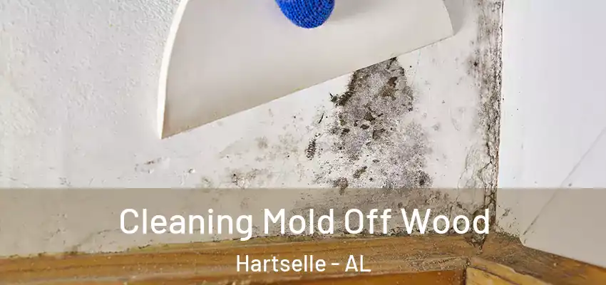  Cleaning Mold Off Wood Hartselle - AL