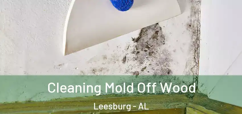  Cleaning Mold Off Wood Leesburg - AL