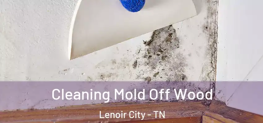  Cleaning Mold Off Wood Lenoir City - TN