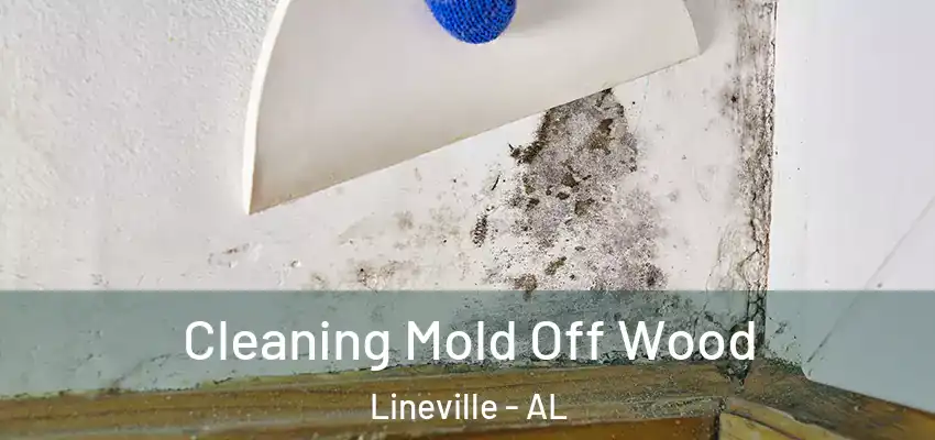  Cleaning Mold Off Wood Lineville - AL