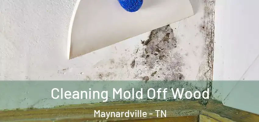 Cleaning Mold Off Wood Maynardville - TN