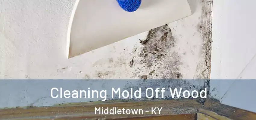  Cleaning Mold Off Wood Middletown - KY