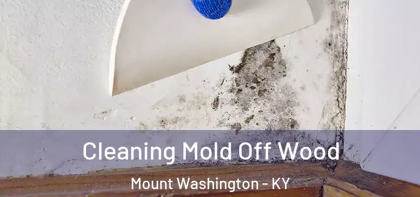  Cleaning Mold Off Wood Mount Washington - KY