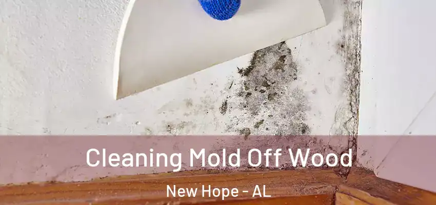 Cleaning Mold Off Wood New Hope - AL
