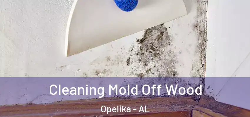  Cleaning Mold Off Wood Opelika - AL