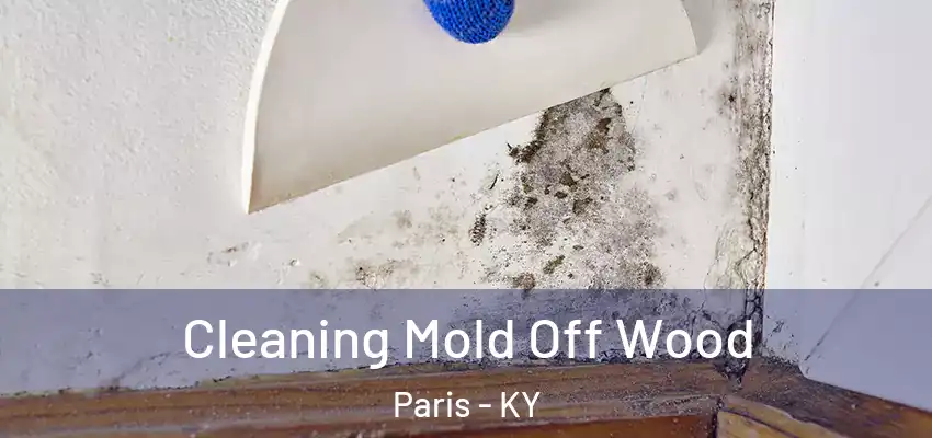  Cleaning Mold Off Wood Paris - KY