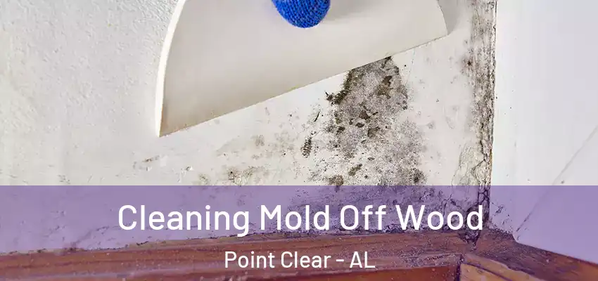 Cleaning Mold Off Wood Point Clear - AL