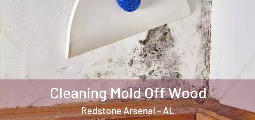  Cleaning Mold Off Wood Redstone Arsenal - AL