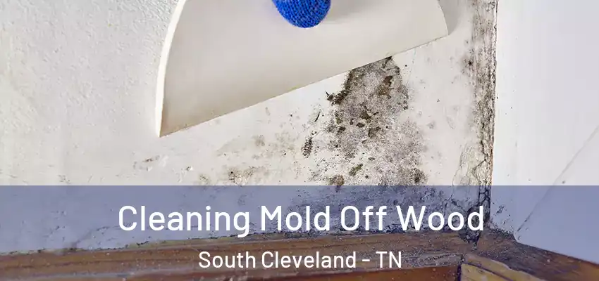  Cleaning Mold Off Wood South Cleveland - TN