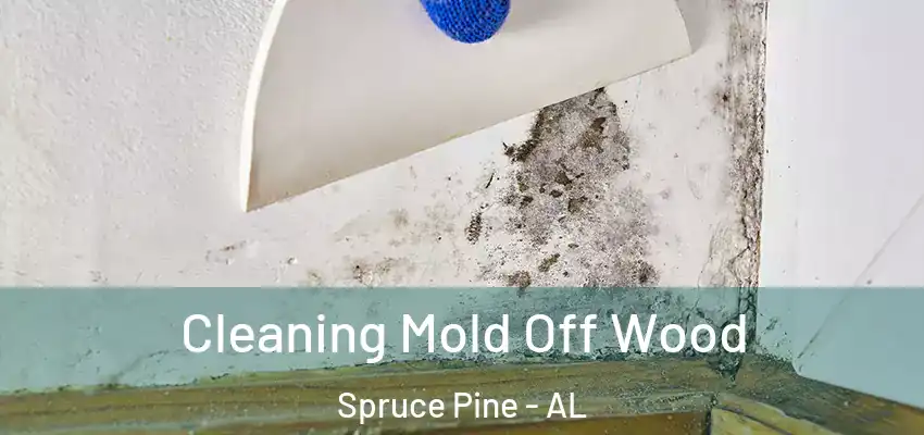  Cleaning Mold Off Wood Spruce Pine - AL