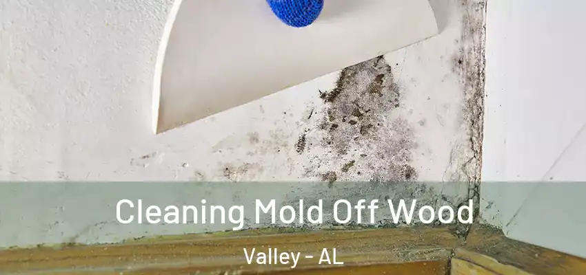  Cleaning Mold Off Wood Valley - AL