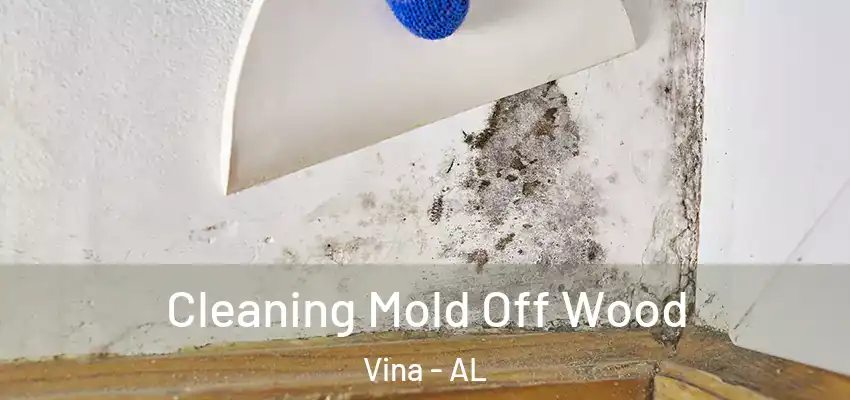 Cleaning Mold Off Wood Vina - AL