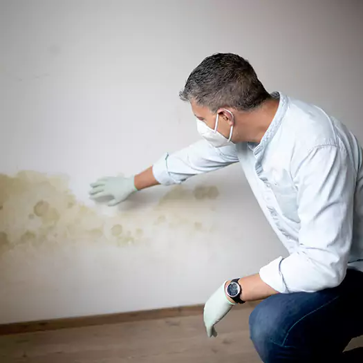 Trusted Mold Remediation and Removal Experts in Loxley, AL