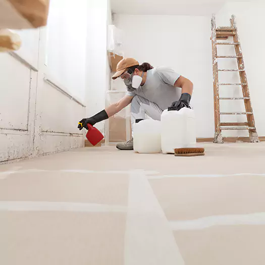 Reliable Mold Stain Remover Specialists in Loxley, AL