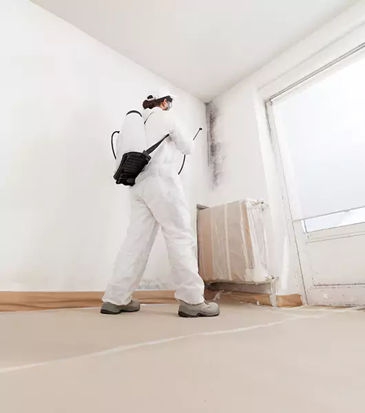Specialists in All Areas of Mold Remediation and Water Damage Restoration in Loxley, AL