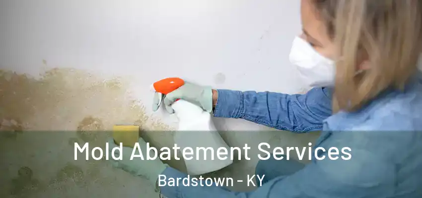 Mold Abatement Services Bardstown - KY