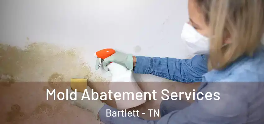  Mold Abatement Services Bartlett - TN