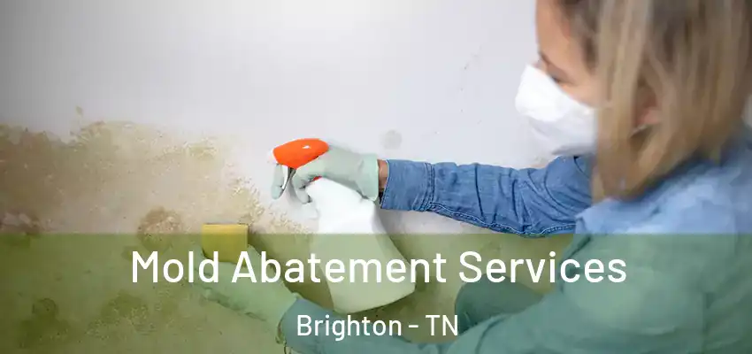  Mold Abatement Services Brighton - TN