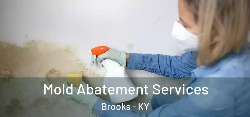  Mold Abatement Services Brooks - KY