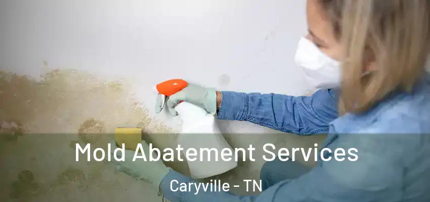 Mold Abatement Services Caryville - TN