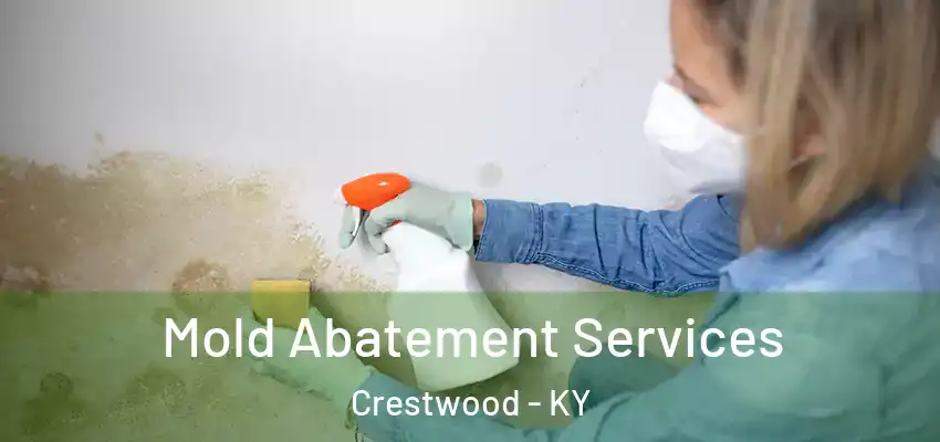  Mold Abatement Services Crestwood - KY