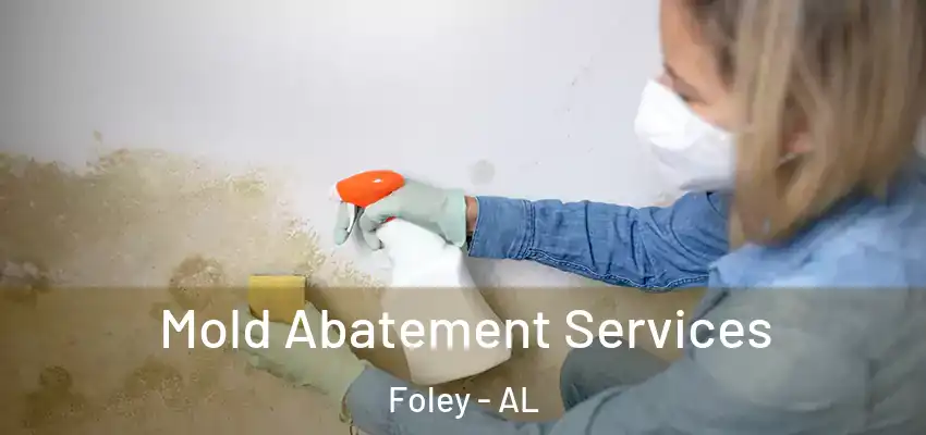 Mold Abatement Services Foley - AL