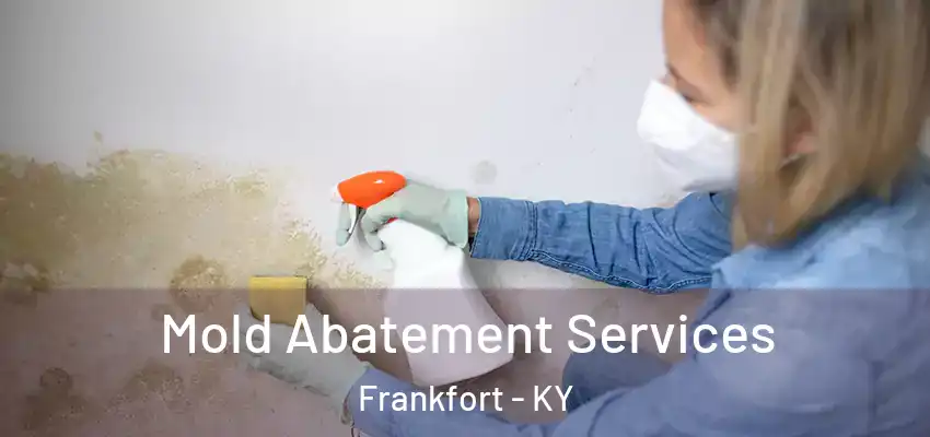  Mold Abatement Services Frankfort - KY