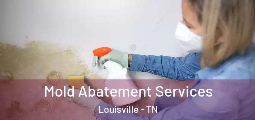  Mold Abatement Services Louisville - TN