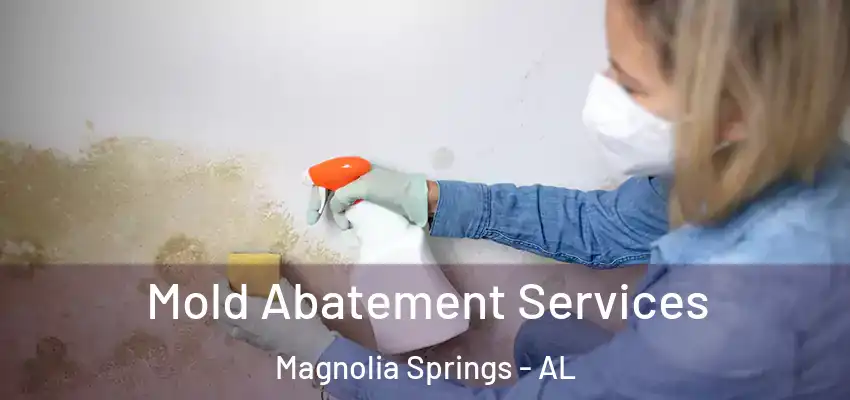 Mold Abatement Services Magnolia Springs - AL