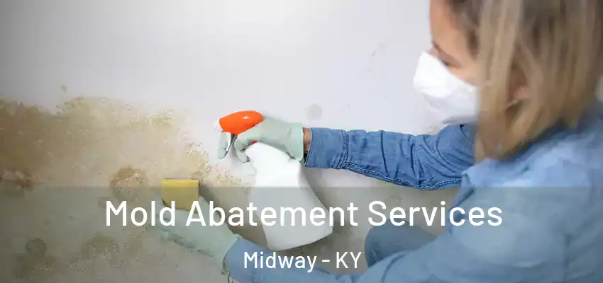  Mold Abatement Services Midway - KY