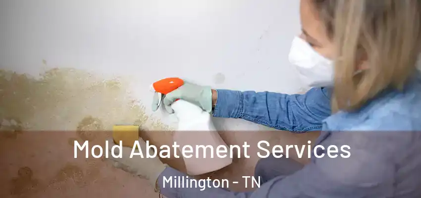  Mold Abatement Services Millington - TN