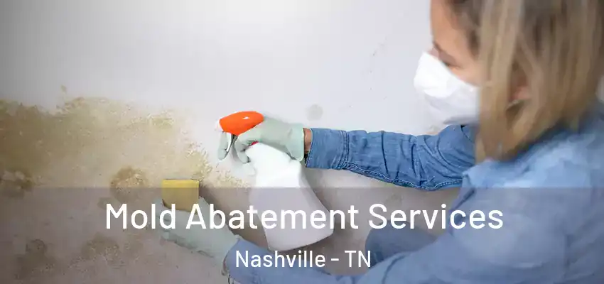 Mold Abatement Services Nashville - TN