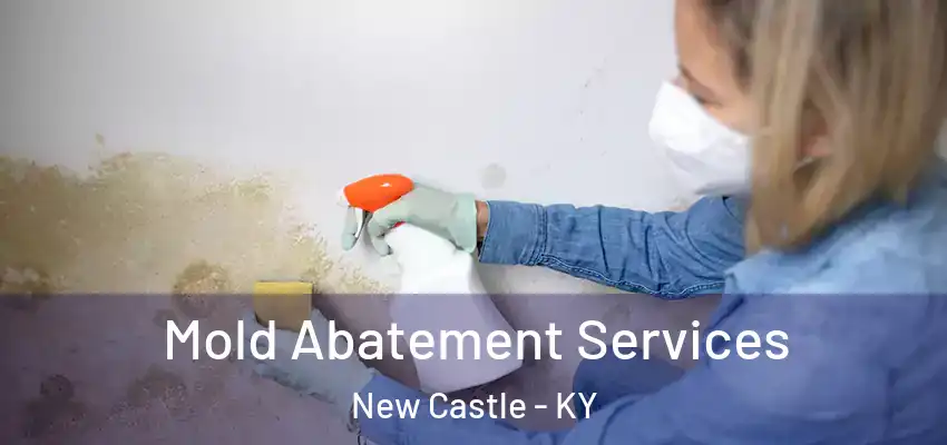  Mold Abatement Services New Castle - KY