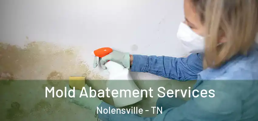 Mold Abatement Services Nolensville - TN