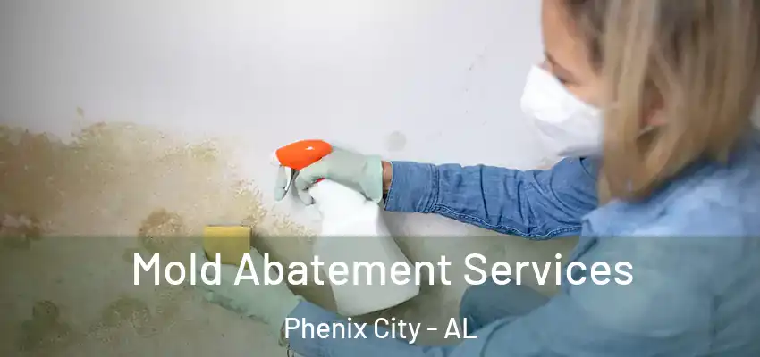 Mold Abatement Services Phenix City - AL