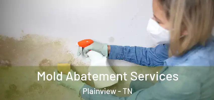  Mold Abatement Services Plainview - TN