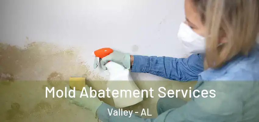  Mold Abatement Services Valley - AL